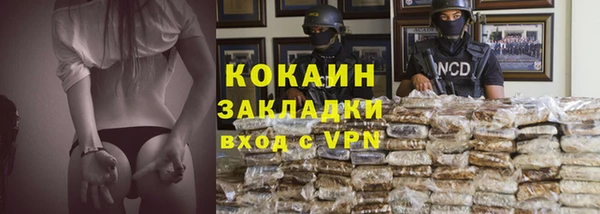 индика Новозыбков