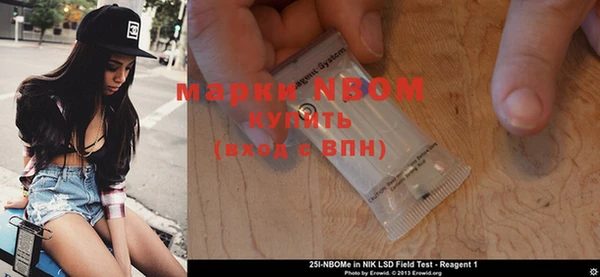 стафф Новокубанск