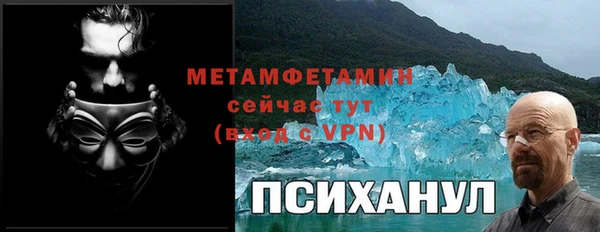 индика Нязепетровск