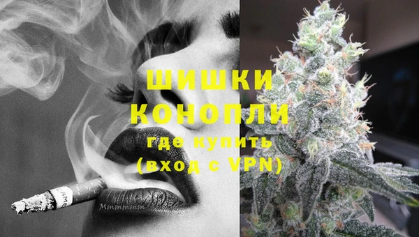 стафф Новокубанск