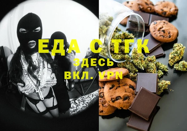 индика Новозыбков