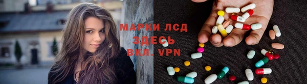 стафф Новокубанск