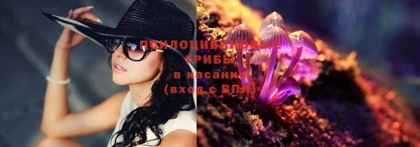 гидра Дмитриев