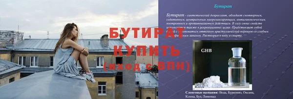 индика Новозыбков