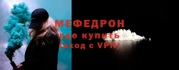 индика Новозыбков