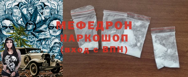 индика Новозыбков