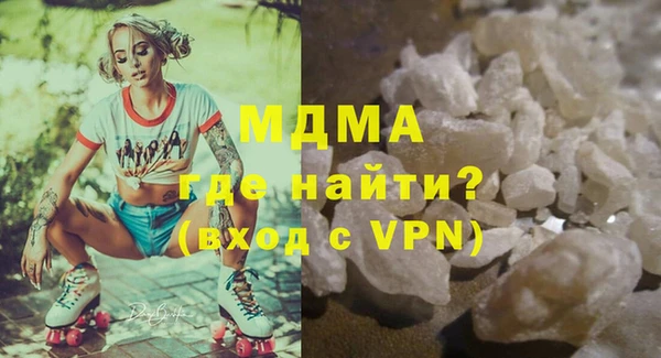 индика Новозыбков