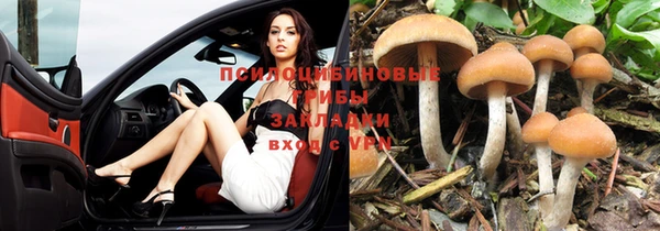 амф Усолье-Сибирское