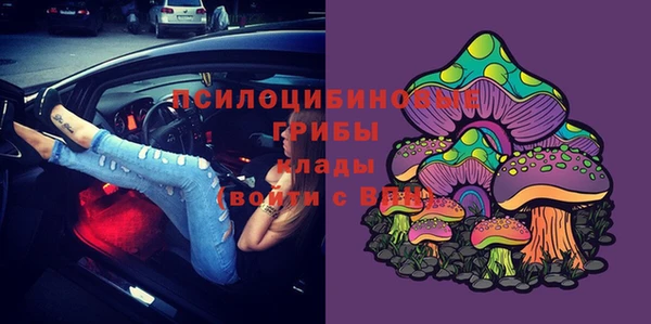 хмурый Новодвинск