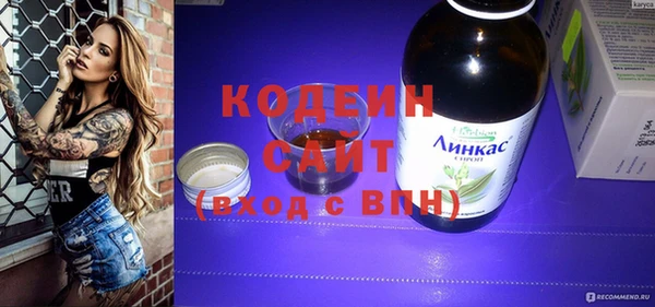 индика Новозыбков
