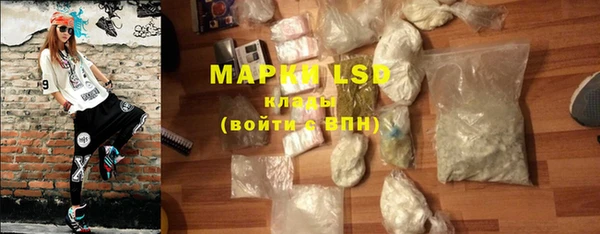 индика Новозыбков