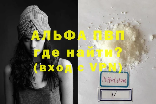 стафф Новокубанск