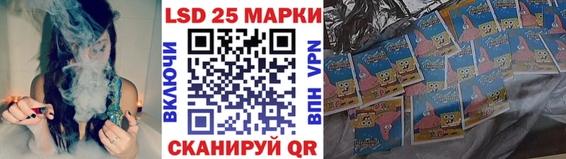 дарнет шоп  Новоржев  мега как войти  Марки 25I-NBOMe 1,5мг 